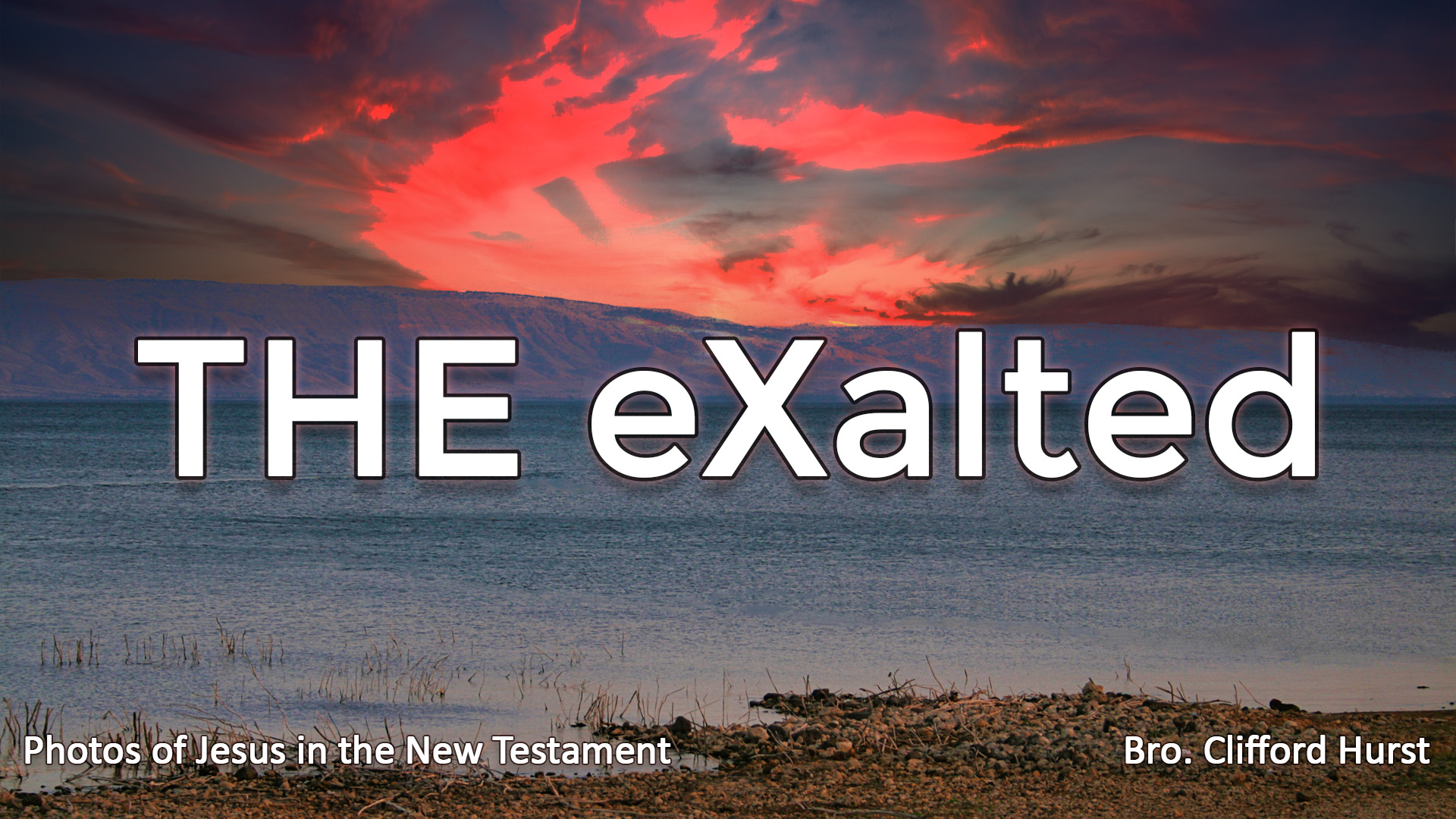 The eXalted