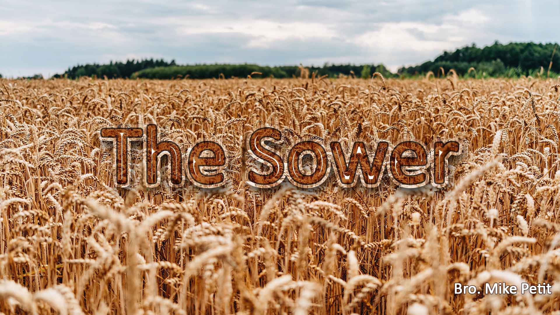 The Sower