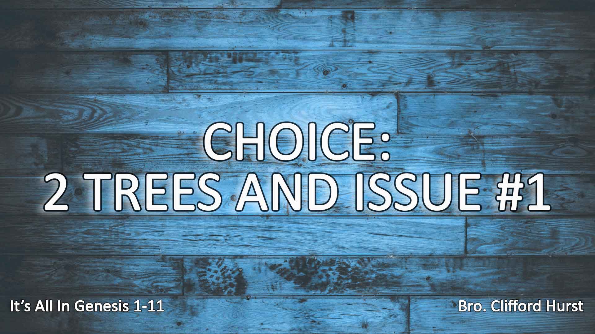 Choice: 2 Trees And Issue #1