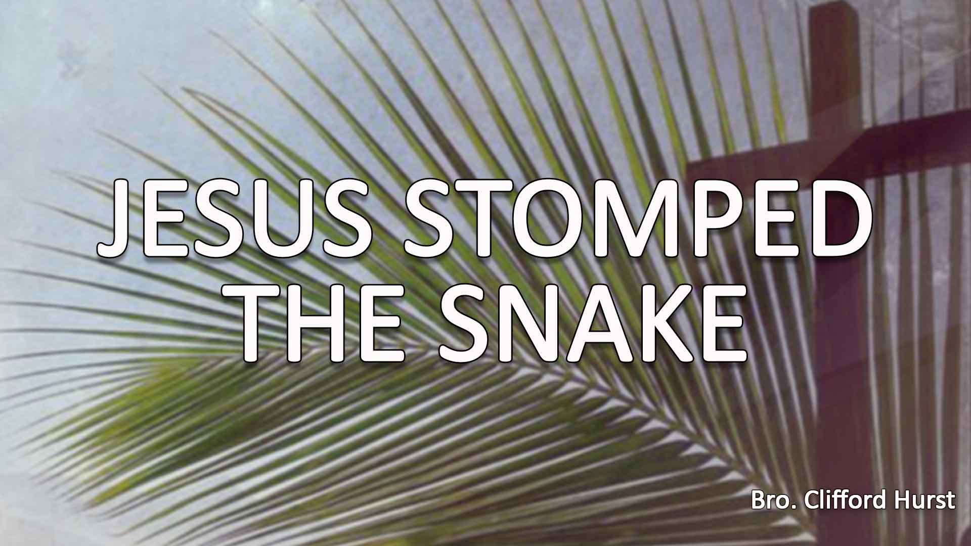 Jesus Stomped The Snake