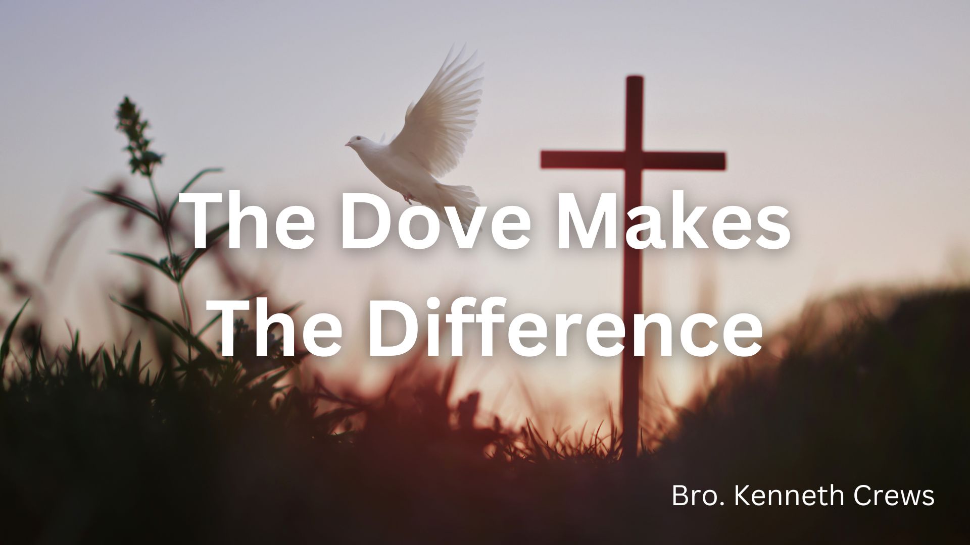 The Dove Makes The Difference