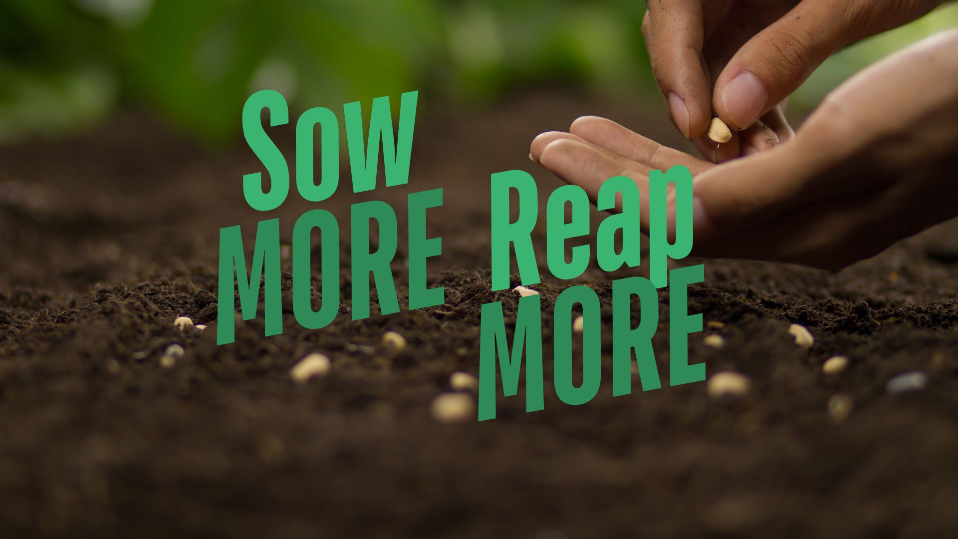 Sow More Reap More